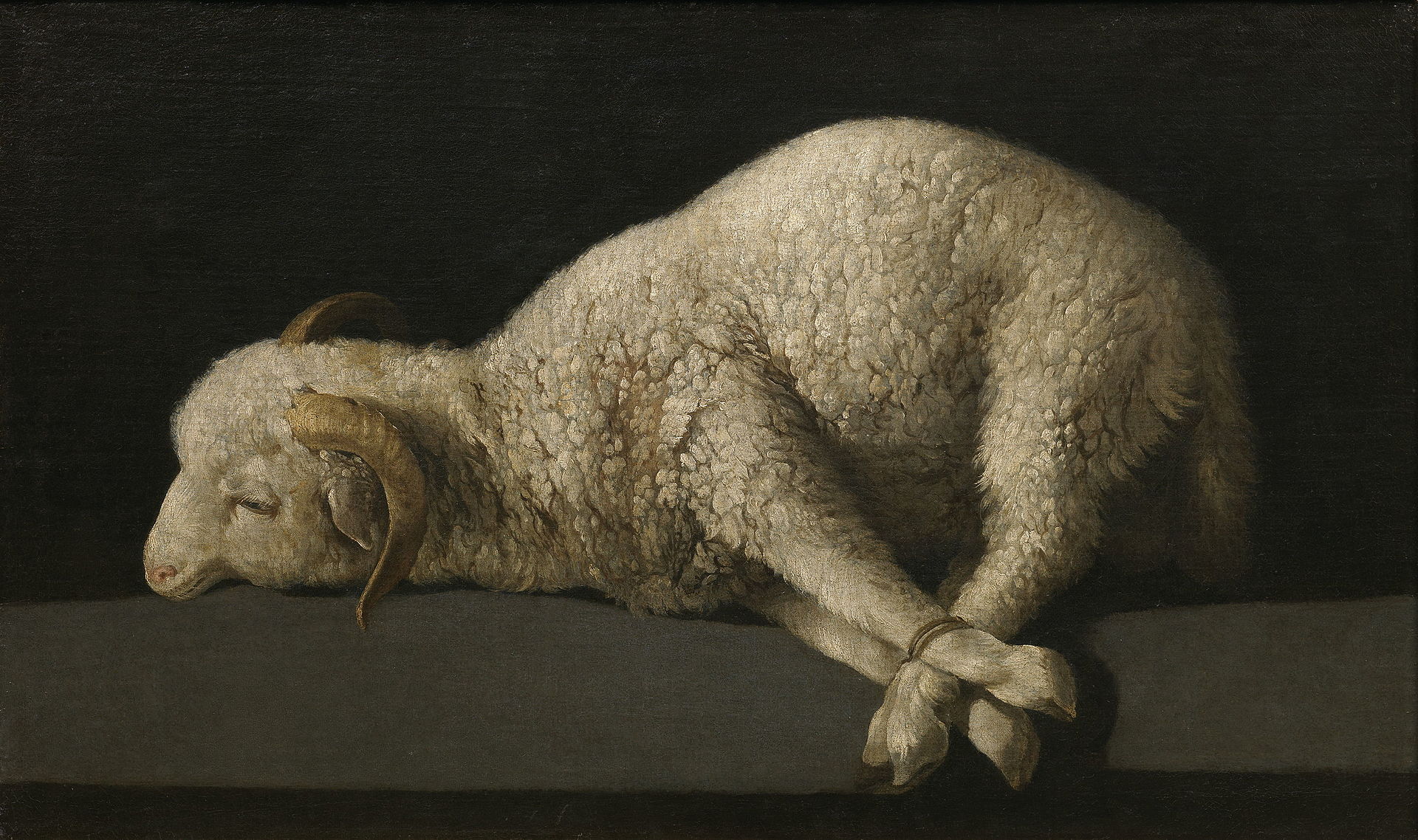 LAMB OF GOD